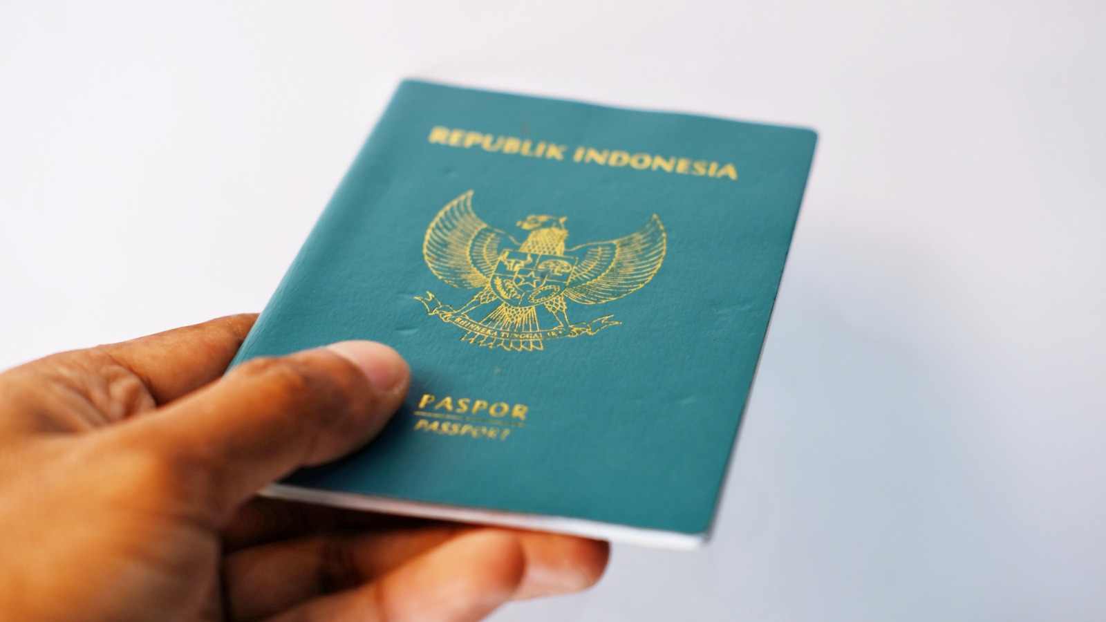 WhatsApp Image 2026 02 10 at 12.10.00